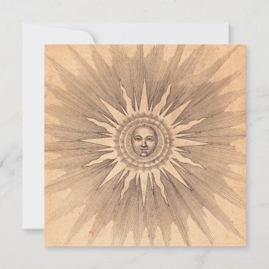 Sun Radiates Vintage |  (裏面)