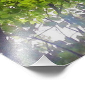 Sun Trees （オハイオ） – フォトプリント フォトプリント (角)