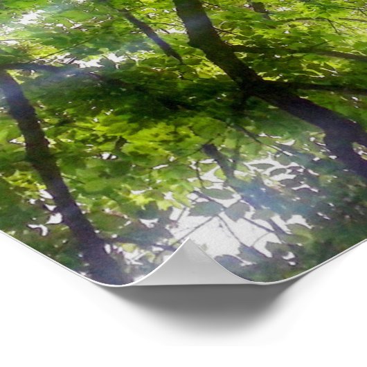 Sun Trees （オハイオ） – ポスター (角)