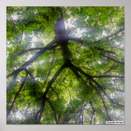 Sun Trees (オハイオ) – ポスター