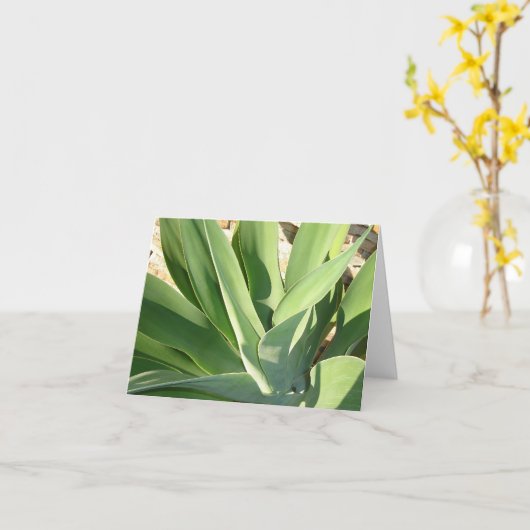 Sun v2の使用 カード (黄色い花)