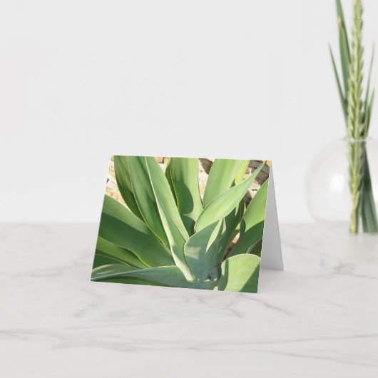 Sun v2の使用 カード (正面)