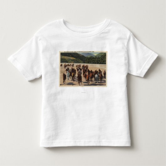 Sun Valley、ID -野生の馬の集合 トドラーTシャツ (正面)