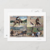 Sun Valley, IDRodeo Bull Doging Scenes ポストカード (正面/裏面)