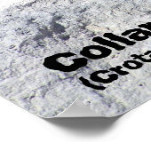 Sun Worshipping カラフル Collated Lizard写真 ポスター (角)