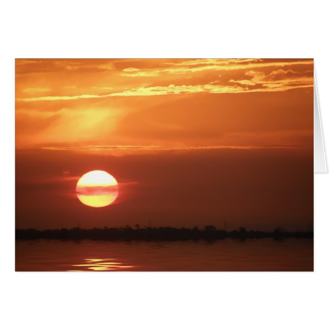 SunBlissカード (正面横)