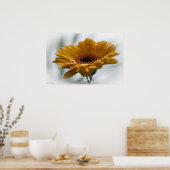Sunchyme Gerbera ポスター (キッチン)