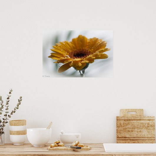Sunchyme Gerbera ポスター (キッチン)