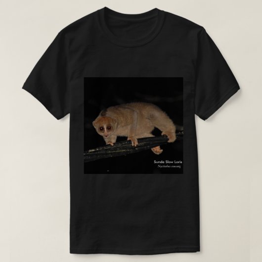 Sunda遅いLorisのTシャツ Tシャツ (デザイン正面)