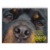 Sundance:  間近 カレンダー (カバー)