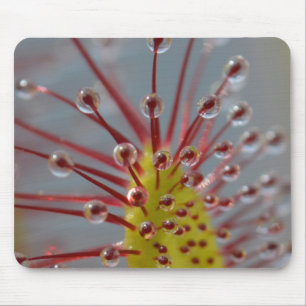 Sundewの食虫植物のマウスパッド マウスパッド