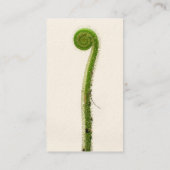 Sundew植物 名刺 (裏面)