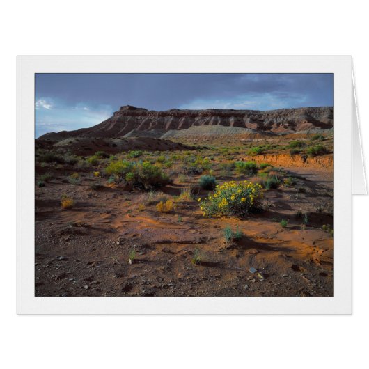 "Sundownerプラトー" (正面横)