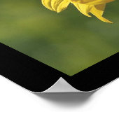 SunFlowerポスター ポスター (角)