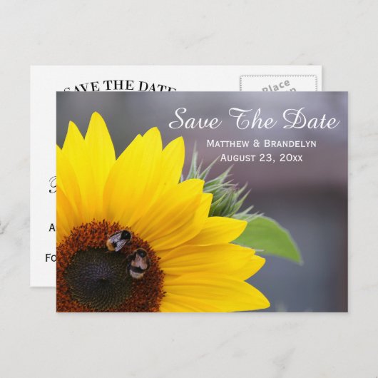 Sunflower日付のポストカ結婚ードを保存 案内ポストカード (正面/裏面)