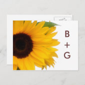 Sunflower日付はがきを保存 案内ポストカード (正面/裏面)