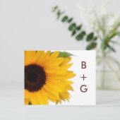 Sunflower日付はがきを保存 案内ポストカード (スタンド正面)