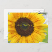 Sunflower日付はがきを保存 案内ポストカード (正面/裏面)