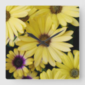 sunflower スクエア壁時計 (正面)