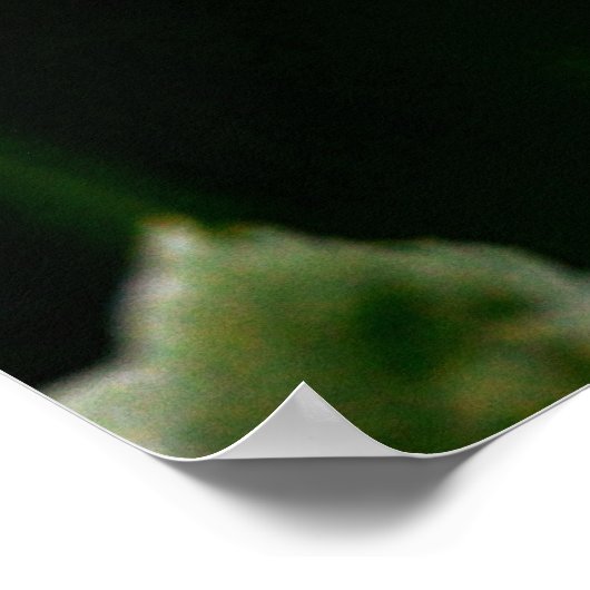 Sunflower ポスター (角)