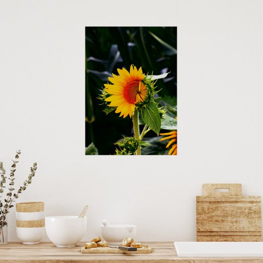 Sunflower ポスター (キッチン)