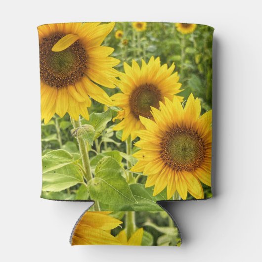 Sunflower  缶クーラー (裏面)