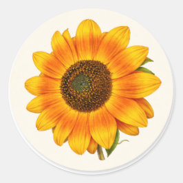 Sunflower Bloom Small Round Garden Flower Sticker ラウンドシール