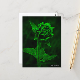 "Sunflower Bud"  ポストカード