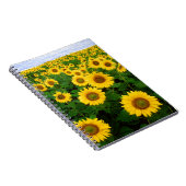 SuNFLoWER fiELD ノートブック (右側)
