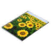 SuNFLoWER fiELD ノートブック (左側)