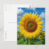 SUNFLOWER FIELD POSTCARD ポストカード (正面/裏面)