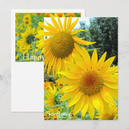Sunflower:Flat Greeting Card カード (正面/裏面)