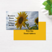 Sunflower Glory Business Card (デスク)
