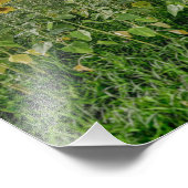 "Sunflower Heaven" Photograph フォトプリント (角)