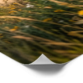 Sunflower Horse Prairie Run ポスター (角)