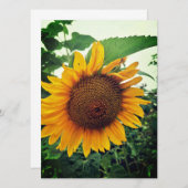 Sunflower in the Garden 空白の Greeting Card (正面/裏面)