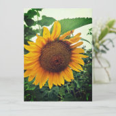 Sunflower in the Garden 空白の Greeting Card (スタンド正面)