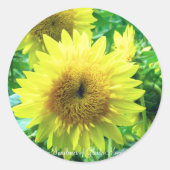 Sunflower of Glaide Monet:Round Seal ラウンドシール (正面)