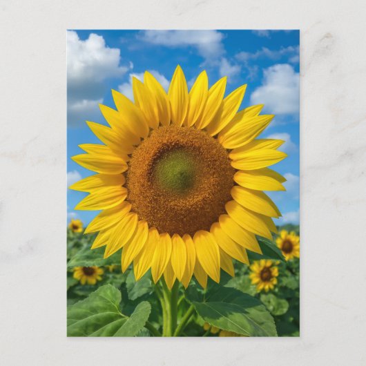 SUNFLOWER POSTCARD ポストカード (正面)