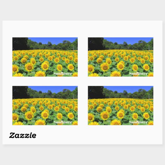 Sunflower：Rectangle Seal 長方形シール (シート)