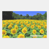 Sunflower：Rectangle Seal 長方形シール (正面)
