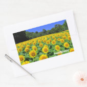 Sunflower：Rectangle Seal 長方形シール (封筒)