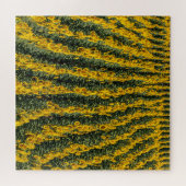 Sunflower Rows ジグソーパズル (横)