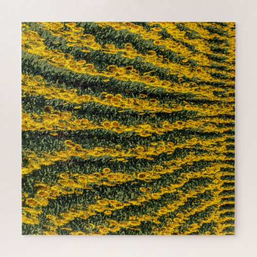 Sunflower Rows ジグソーパズル (横)