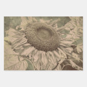 Sunflower Sepia Tone Brown Art Texture Decoupage ラッピングペーパーシート (正面3)