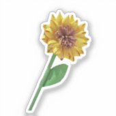 Sunflower sticker シール (正面)