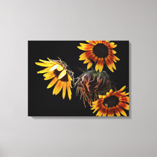 Sunflower Stretched Canvas Print キャンバスプリント