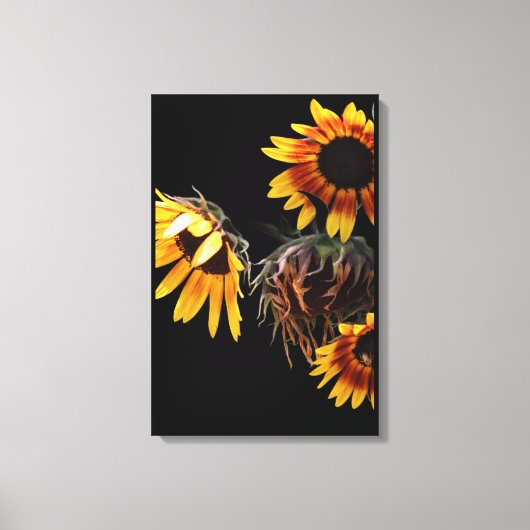 Sunflower Stretched Canvas Print キャンバスプリント (正面)