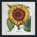 Sunflower Vintage Damask Flower Pattern Art ポスター<br><div class="desc">Sunflowers! This vintage inspired floral damask showcases an antique Sunflower,  with a variety of damask wallpaper patterns in the background. Stunning for a modern touch of floral decor.</div>