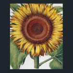 Sunflower Vintage Damask Flower Pattern Art ポスター<br><div class="desc">Sunflowers! This vintage inspired floral damask showcases an antique Sunflower,  with a variety of damask wallpaper patterns in the background. Stunning for a modern touch of floral decor.</div>